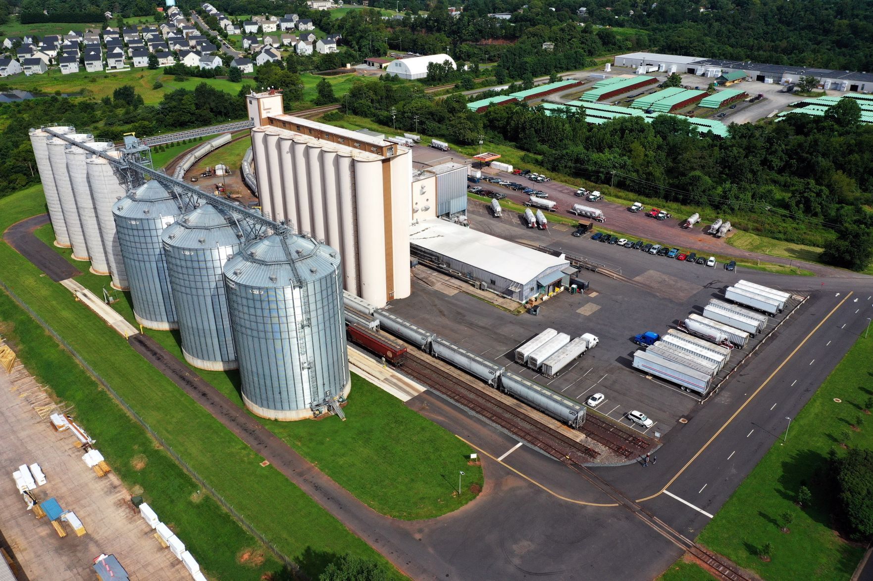 Ardent Mills Magnolia Green